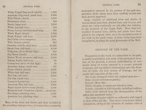 Richards, pages 24-25, The Park Trees